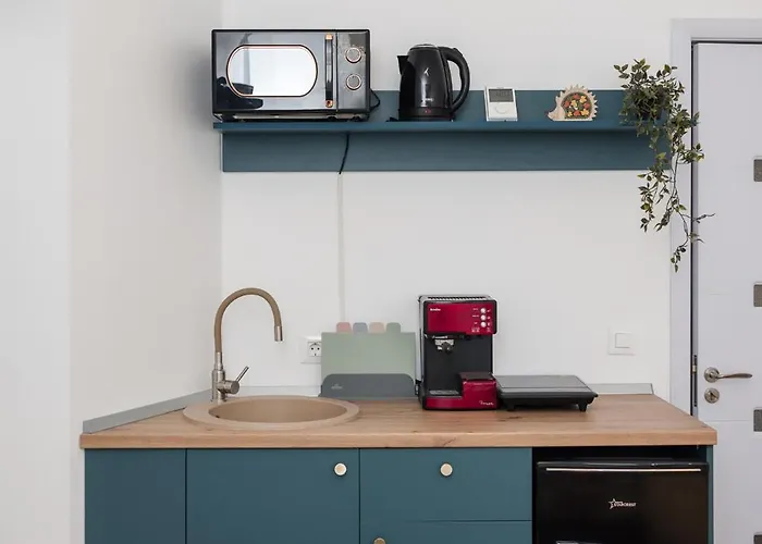 Bienvenue Studio- Steps From Oldtown Bukarest